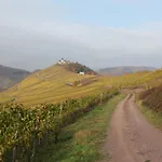 بيت ضيافة Weingut Gibbert-pohl بريديل
