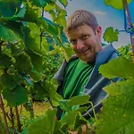 بيت ضيافة Weingut Gibbert-pohl 4*