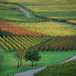 Weingut Gibbert-pohl بيت ضيافة