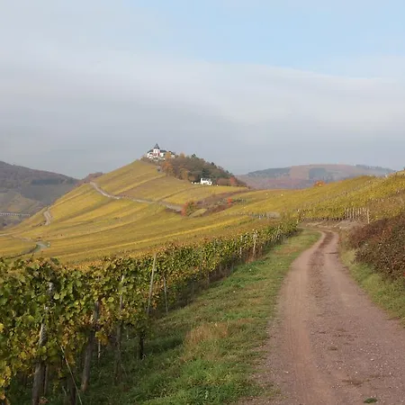 Pensjonat Weingut Gibbert-pohl Briedel