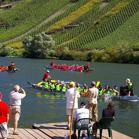 Pensjonat Weingut Gibbert-pohl 4*