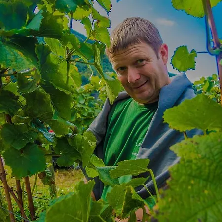 Penzion Weingut Gibbert-pohl 4*
