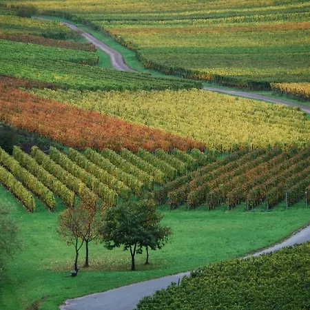 Weingut Gibbert-pohl Penzion