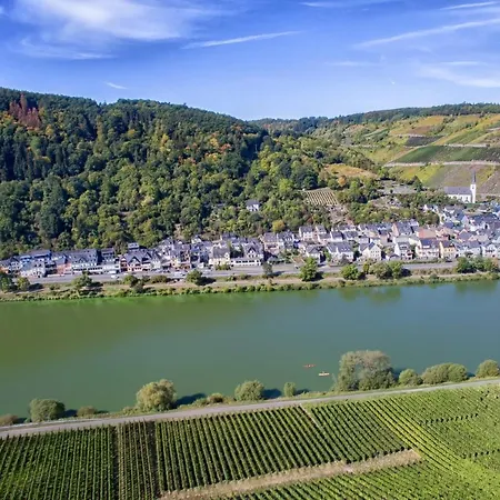 Penzion Weingut Gibbert-pohl Briedel