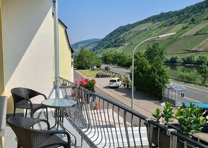 Affittacamere Weingut Gibbert-pohl Briedel