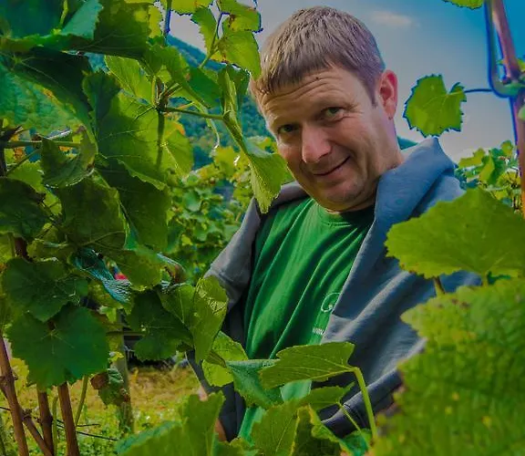 Affittacamere Weingut Gibbert-pohl 4*