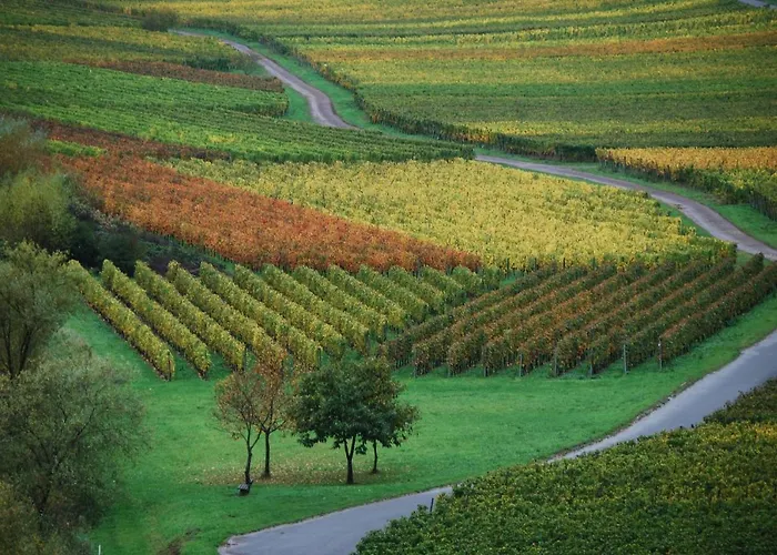 Weingut Gibbert-pohl Affittacamere