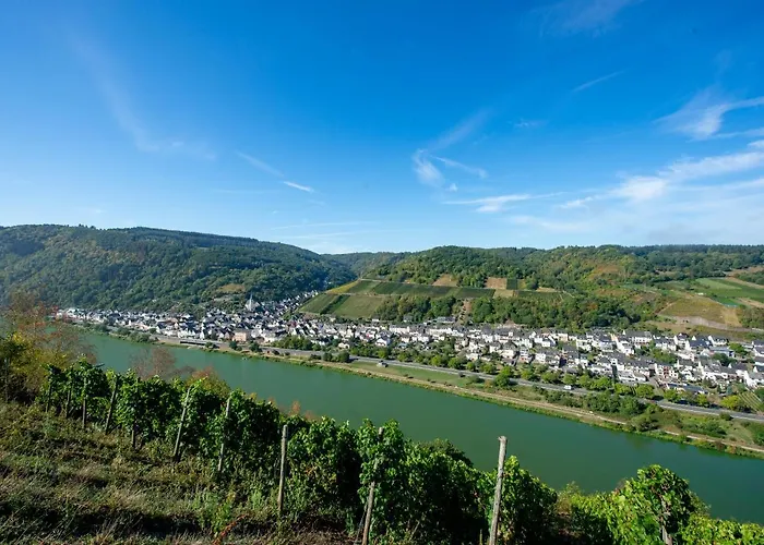 Weingut Gibbert-pohl Affittacamere