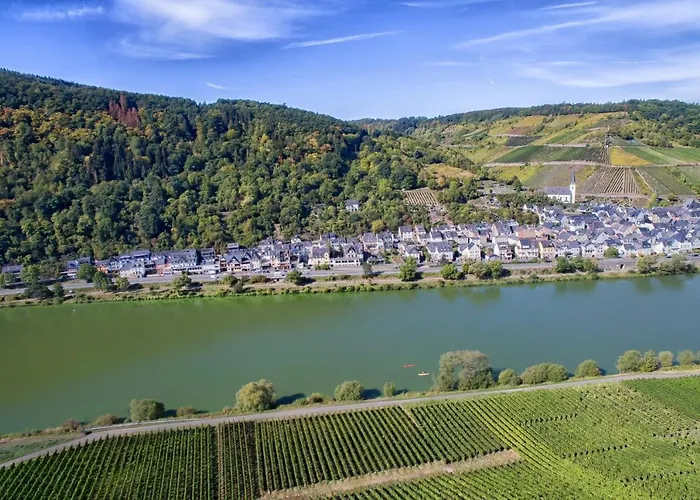 Affittacamere Weingut Gibbert-pohl Briedel